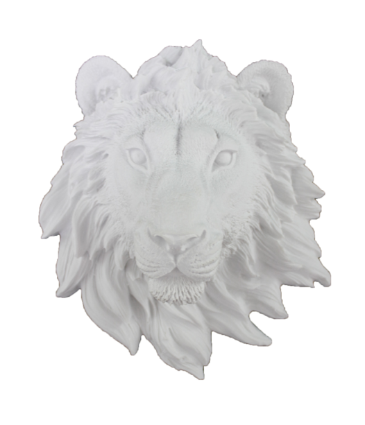 ASLAN KAFASı 22 X 20