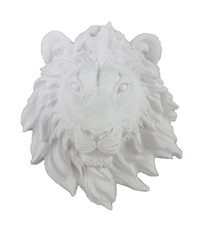 ASLAN KAFASı 22 X 20