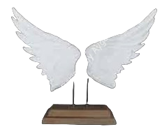 KAİDELİ BÜYÜK KANAT 47X36 CM