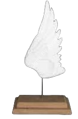 KAİDELİ TEKLİ KANAT 43X22 CM