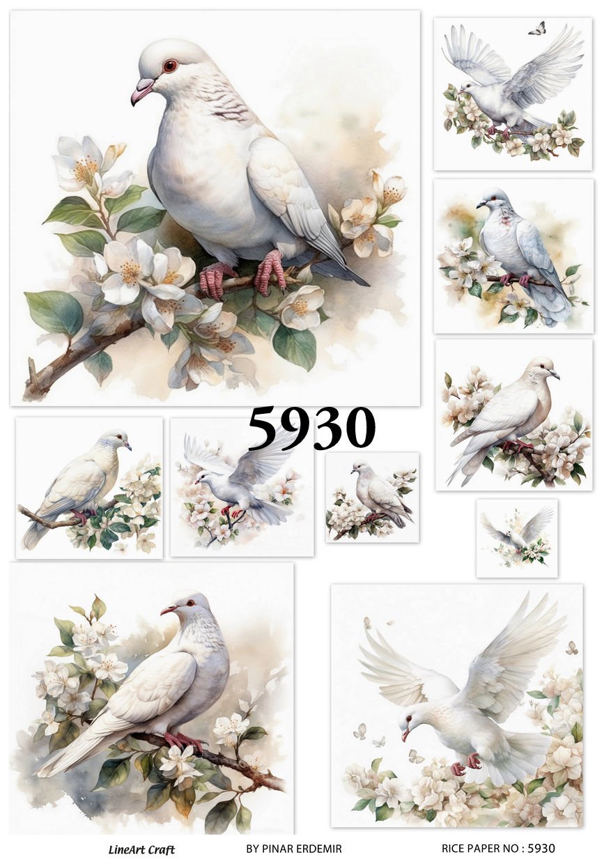 5930