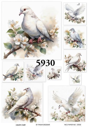 5930