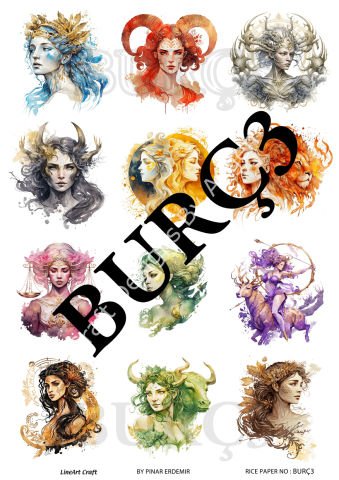 BURÇ 3