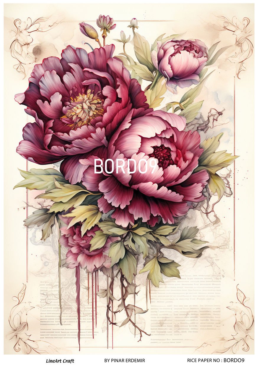 BORDO 9