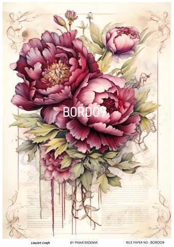 BORDO 9