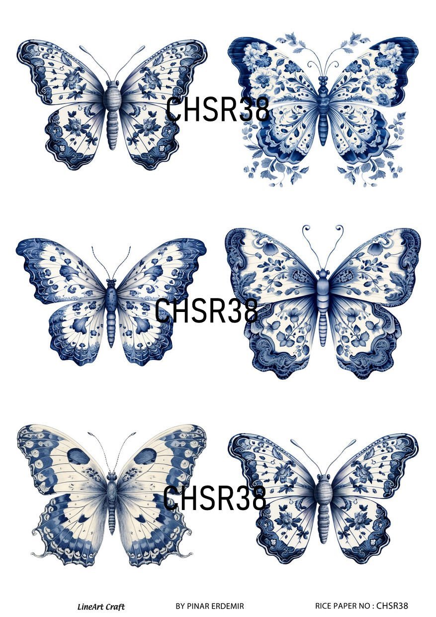 CHSR 38