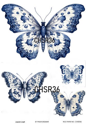 CHSR 39