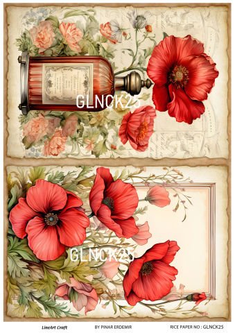 GLNCK 25