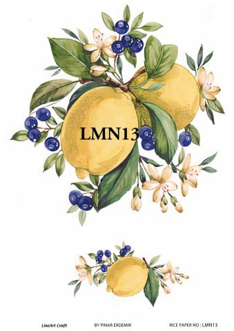 LMN 13