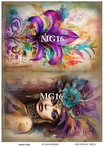 MG 16