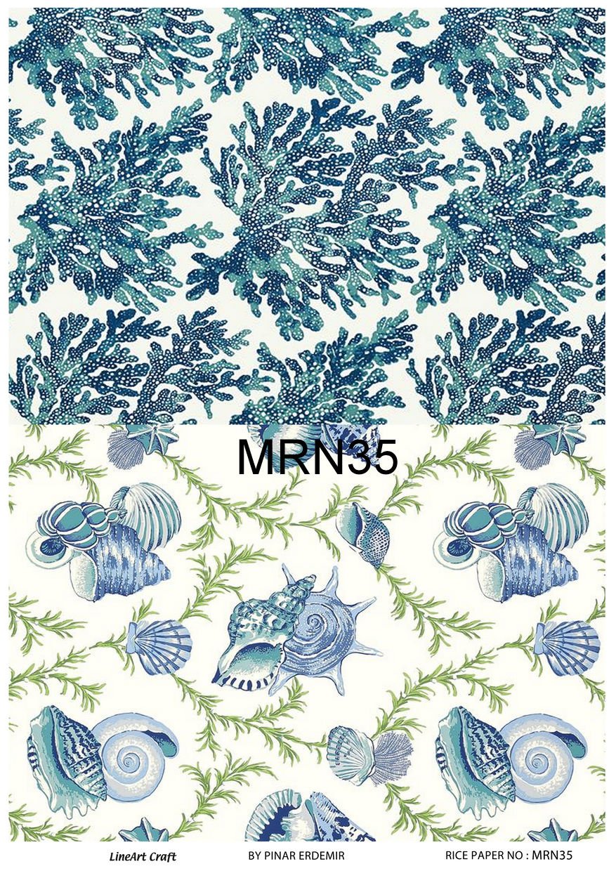 MRN 35