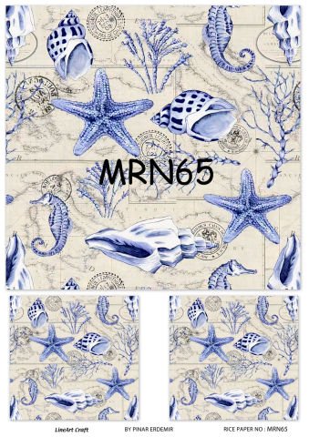 MRN 65