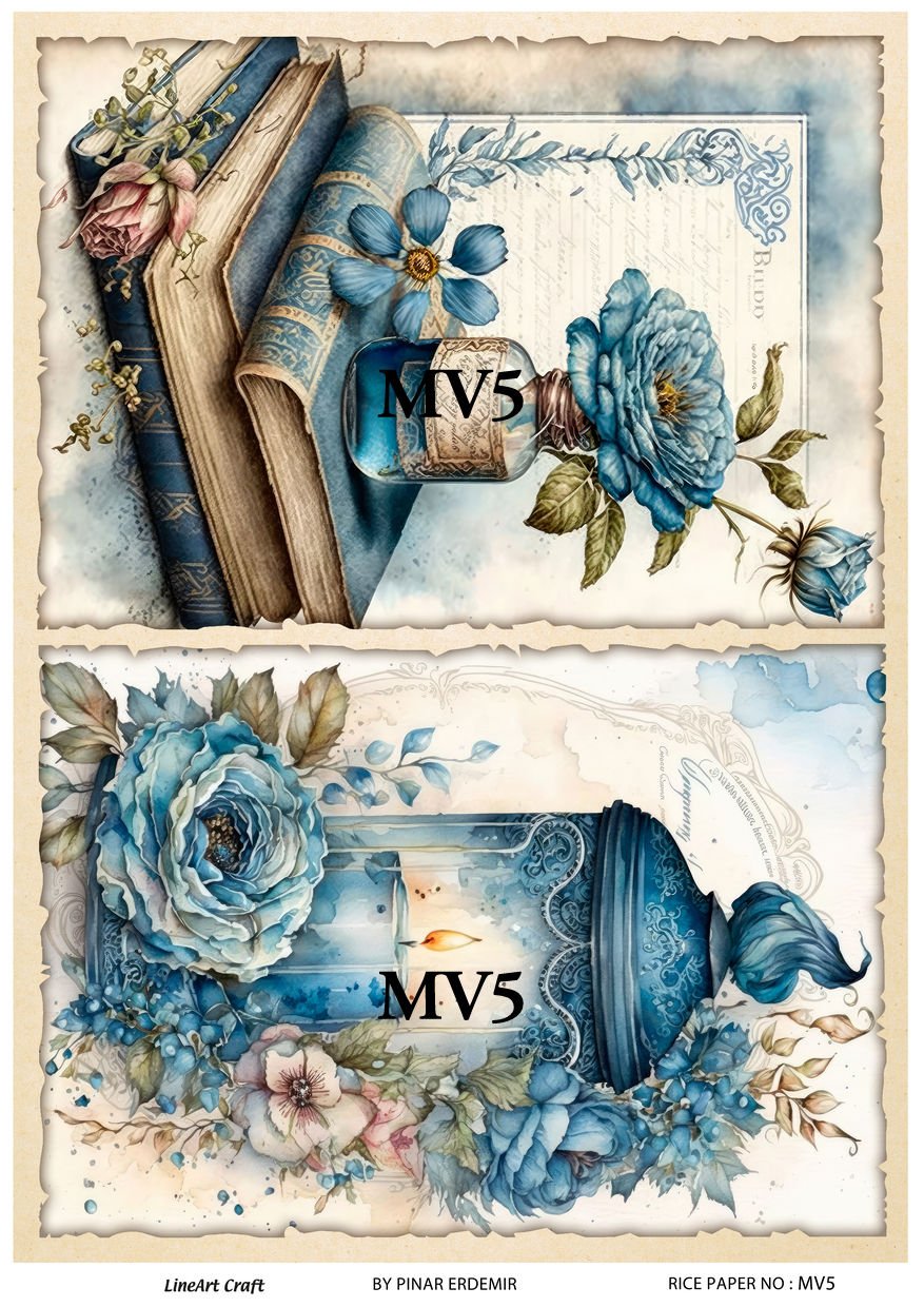 MV 05