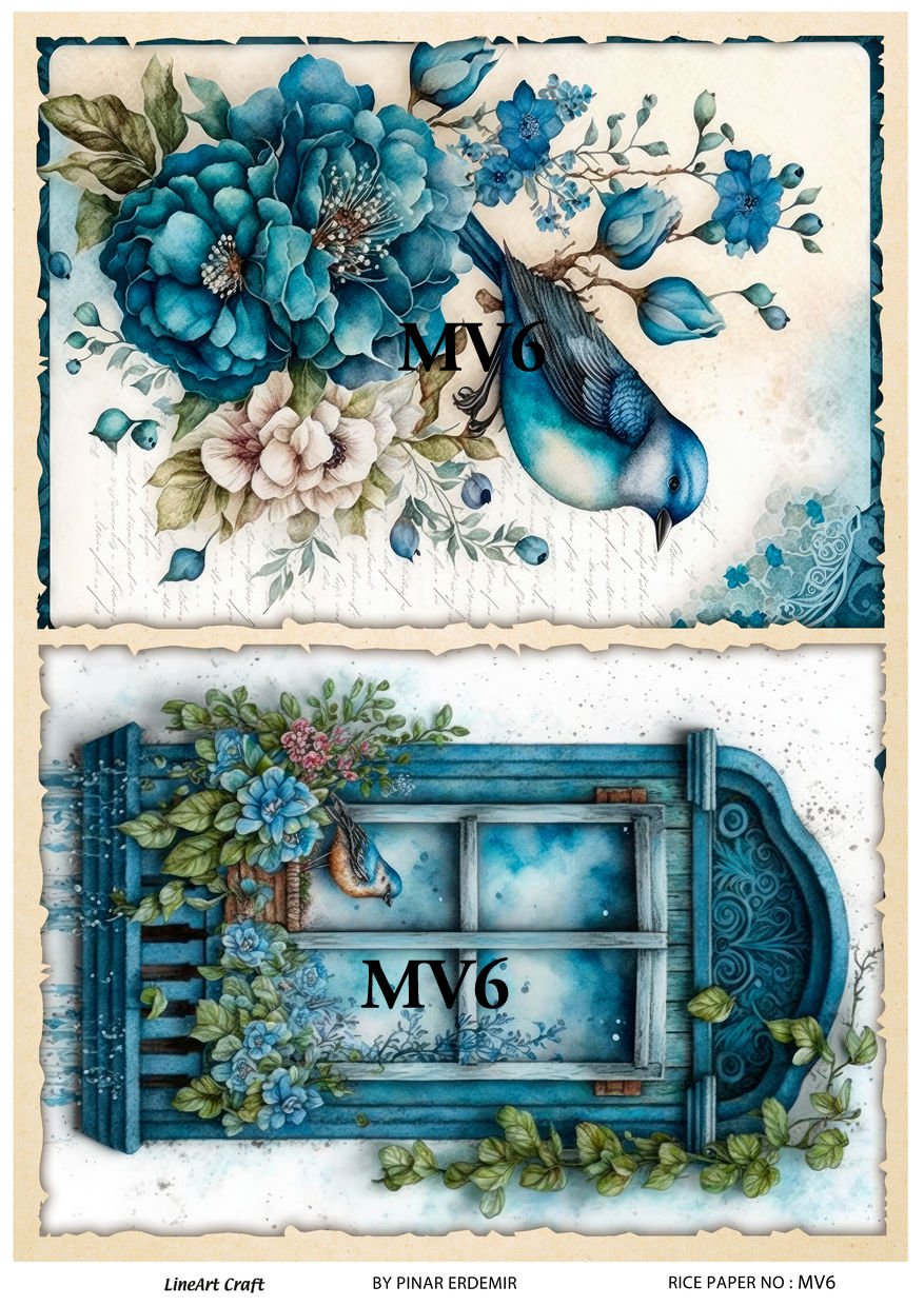 MV 06