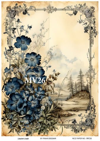 MV 26