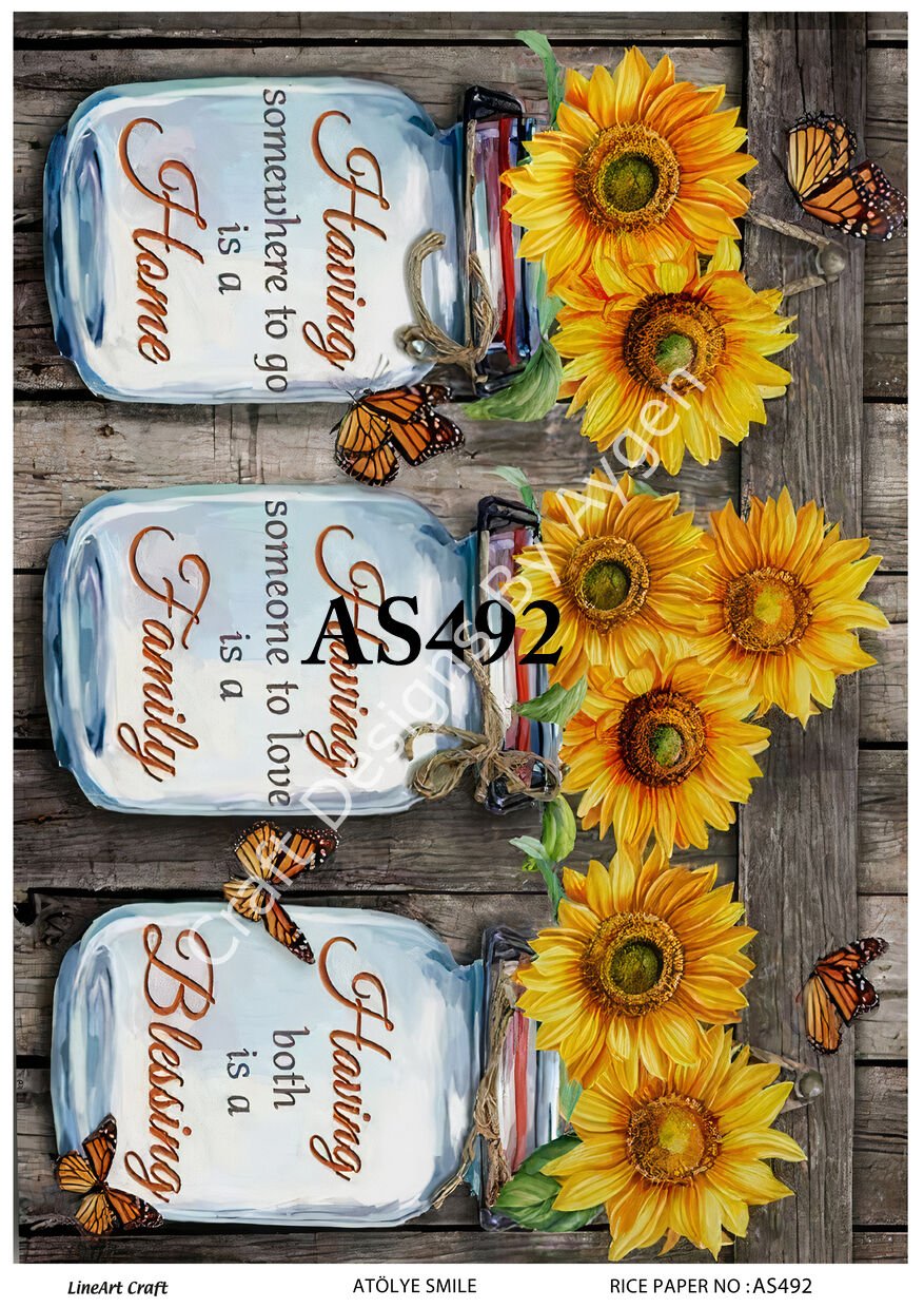 AS 492