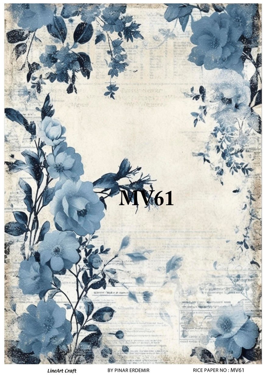 MV 61