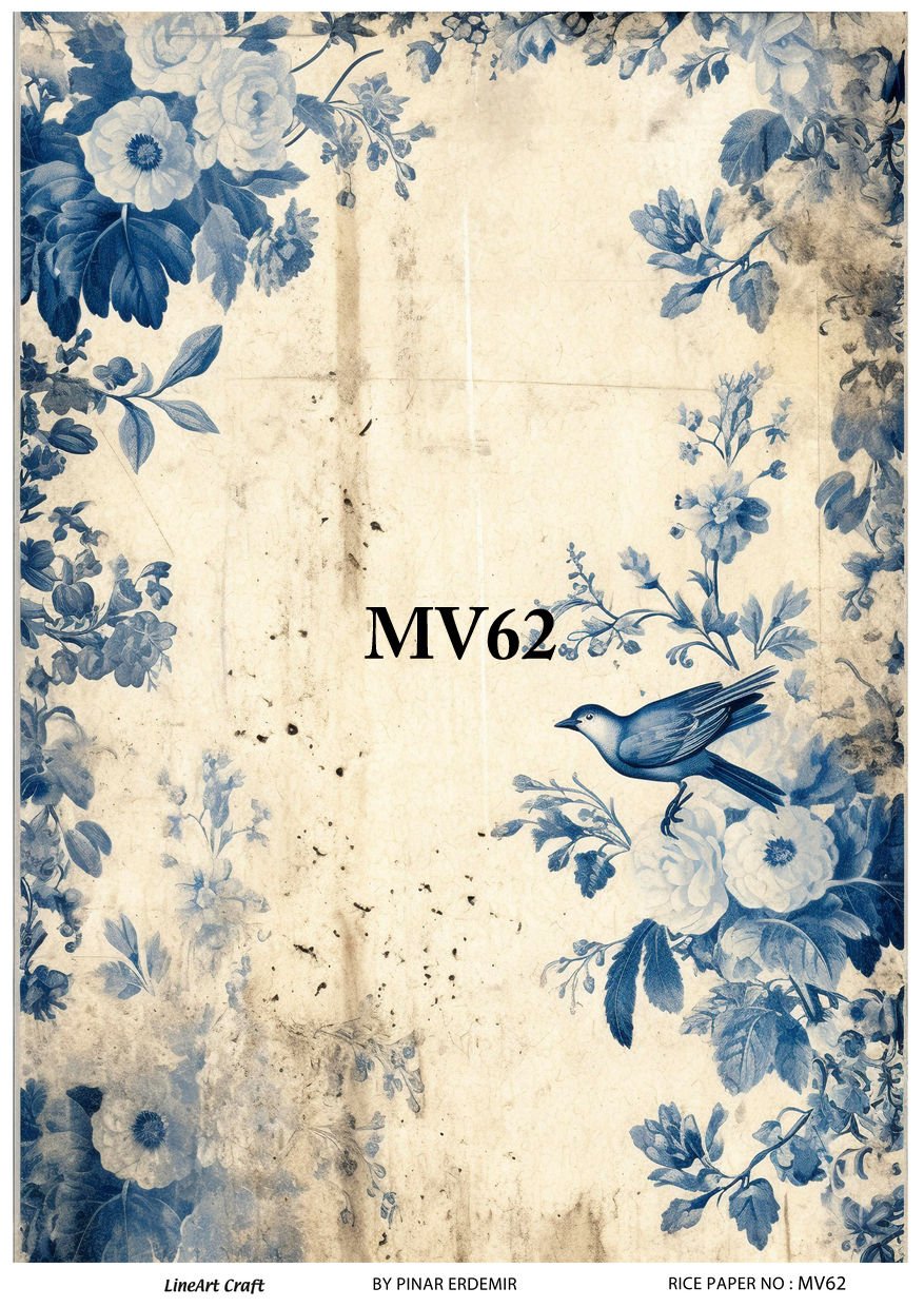 MV 62