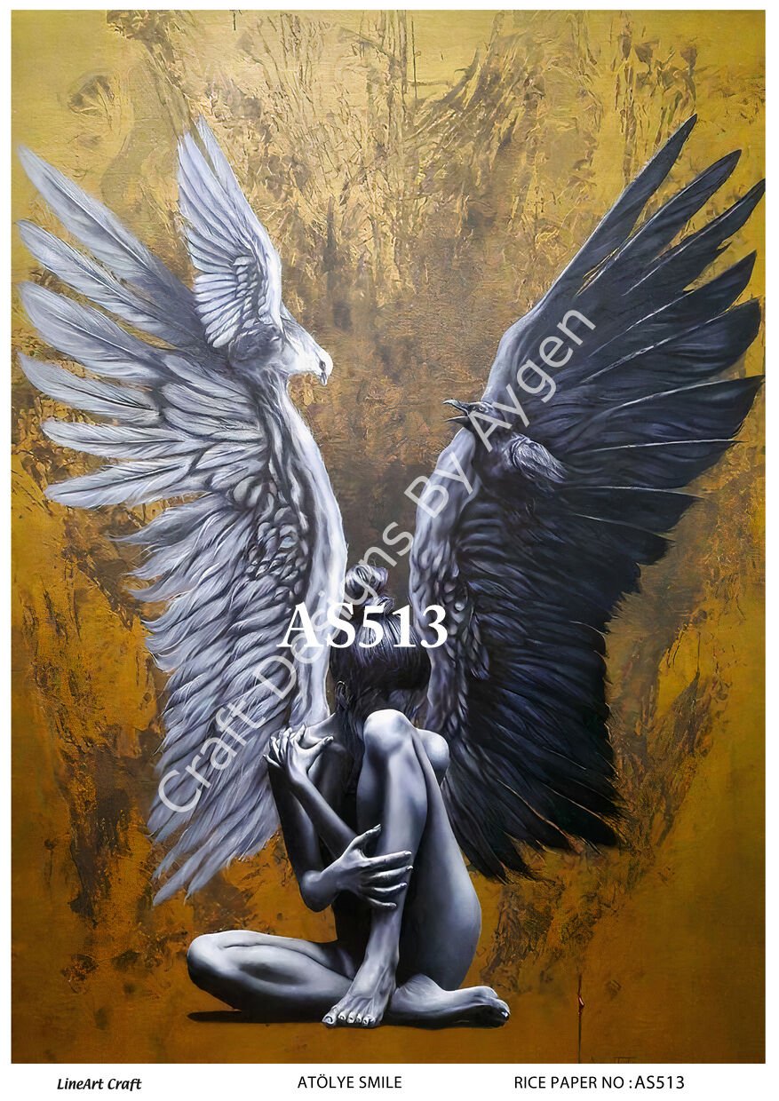 AS 513