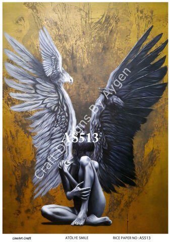 AS 513