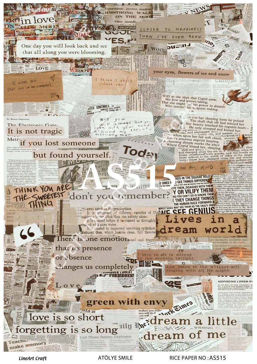 AS 515