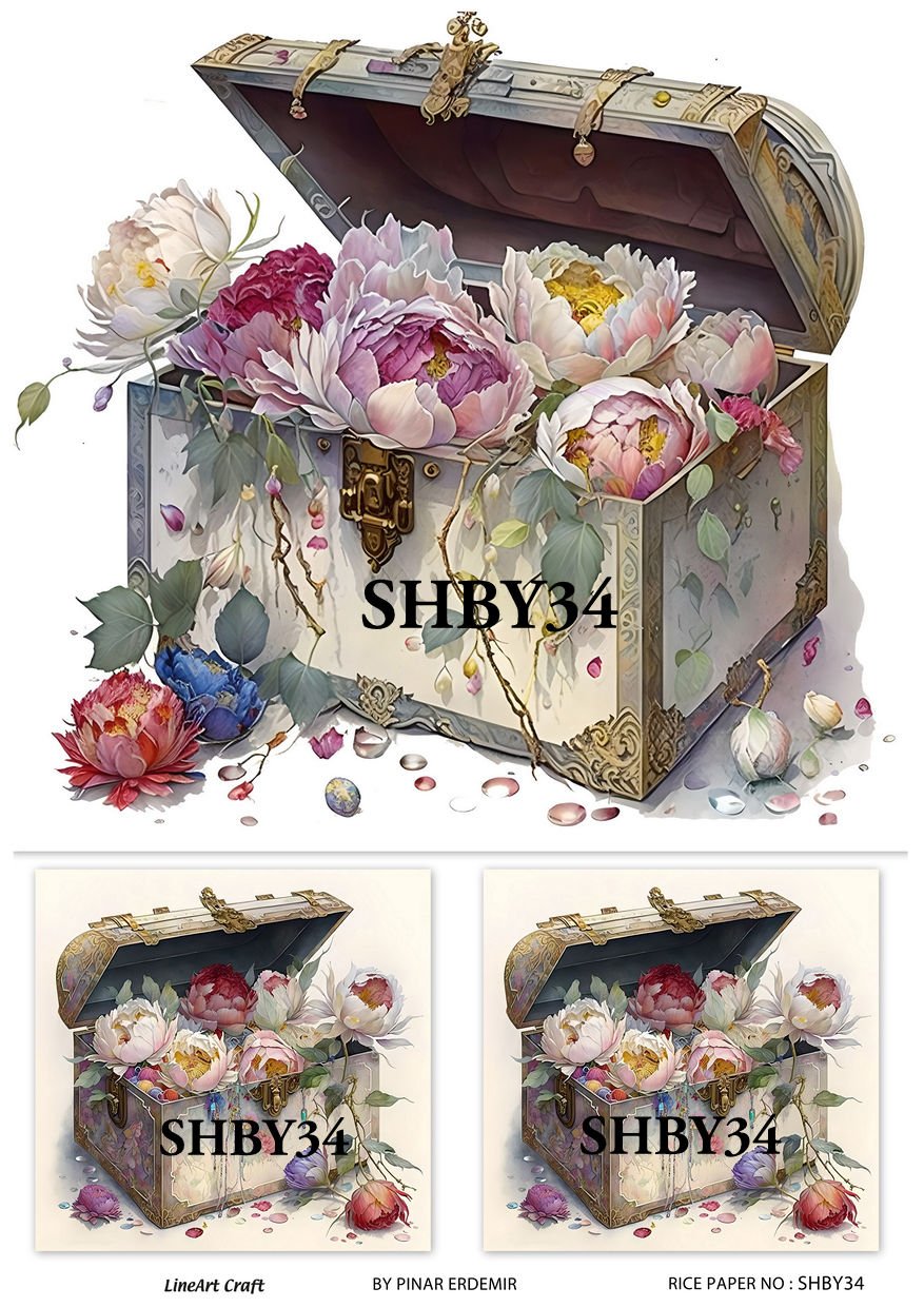 SHBY 34