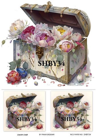 SHBY 34
