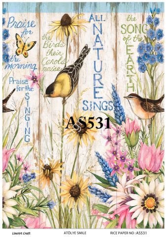 AS 531