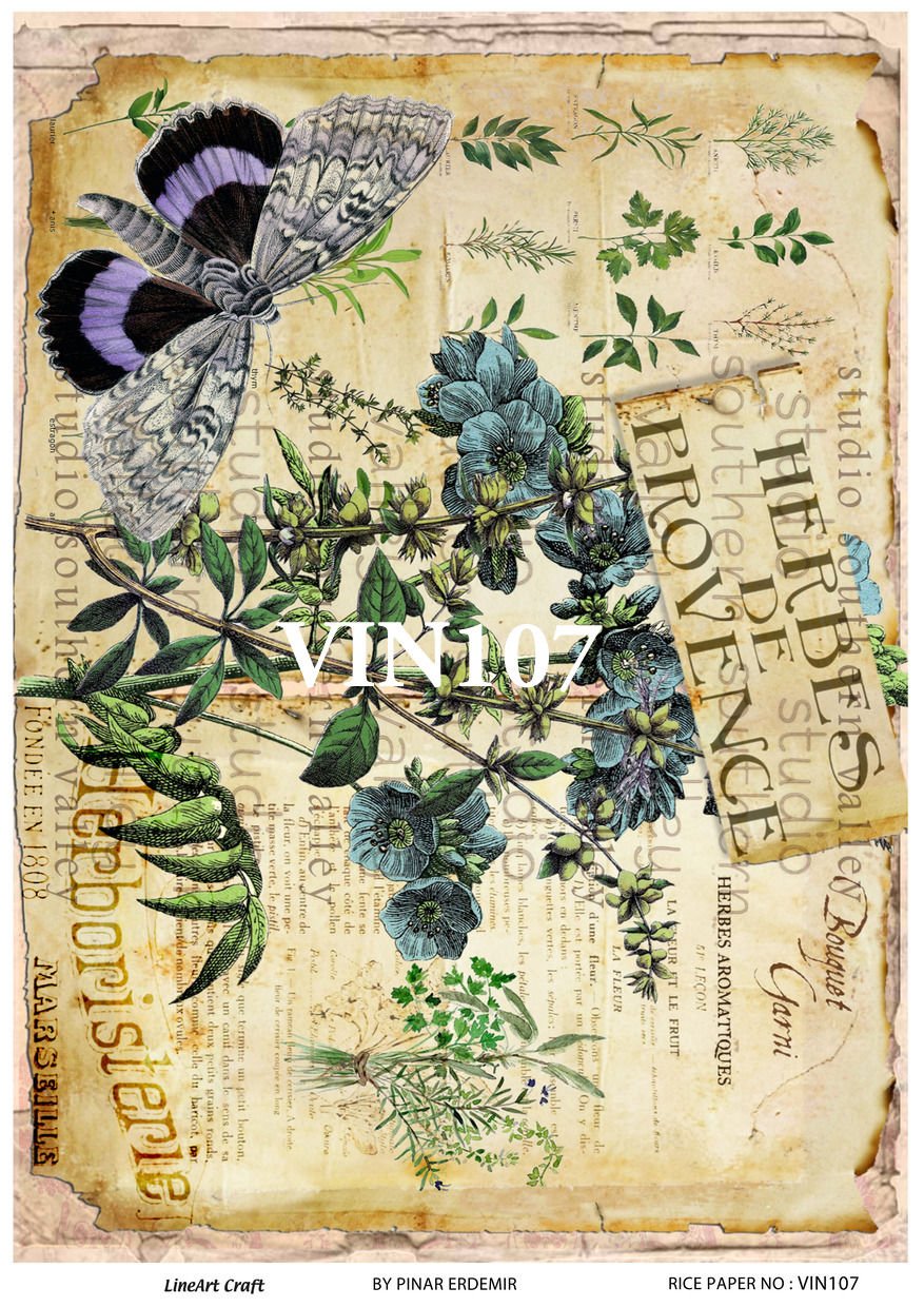 VIN 107