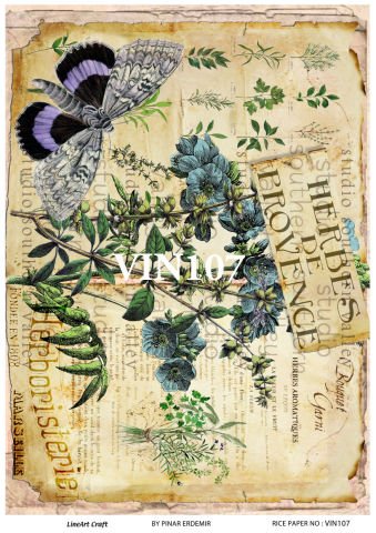 VIN 107