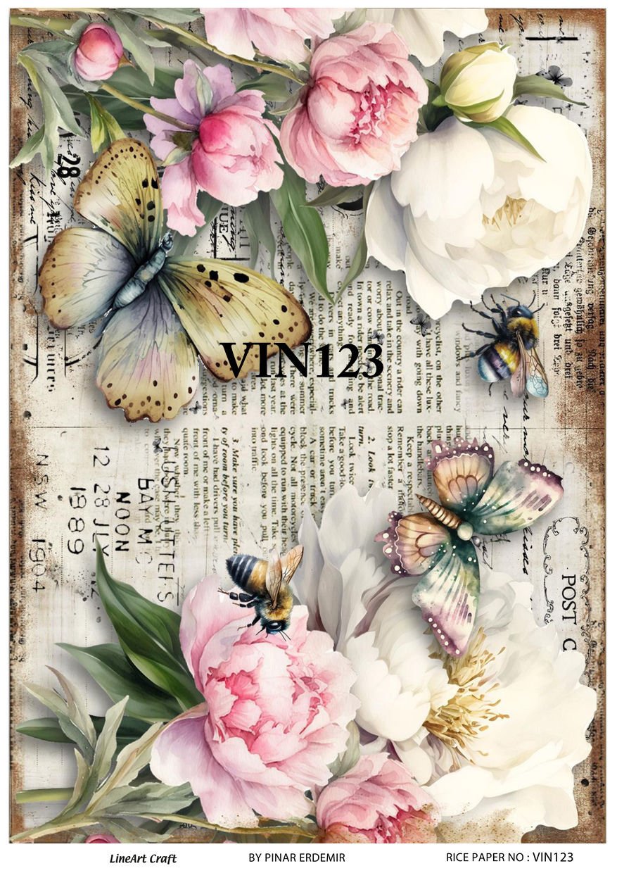VIN 123