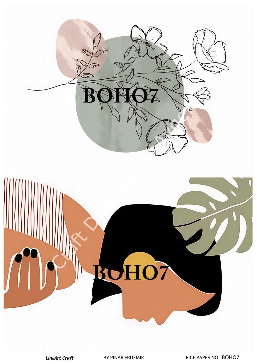 BOHO 7