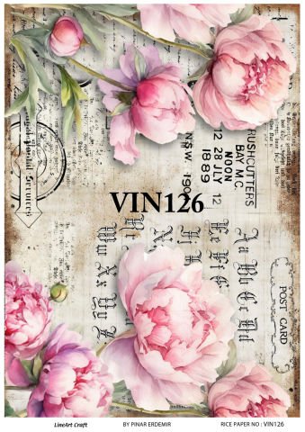 VIN 126