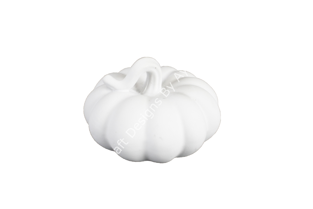 SAPI KIVRIMLI KABAK-ORTA