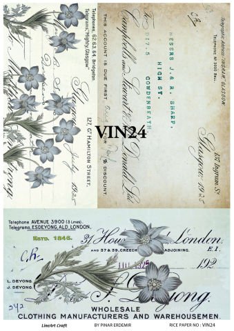 VIN 24