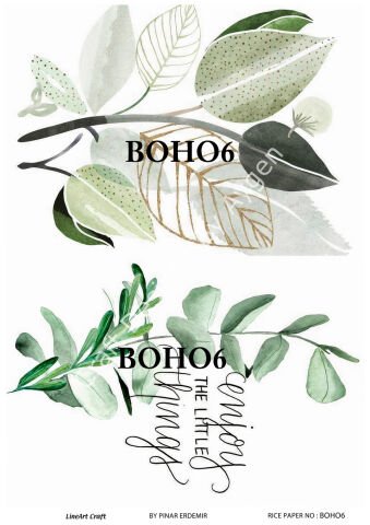 BOHO 6
