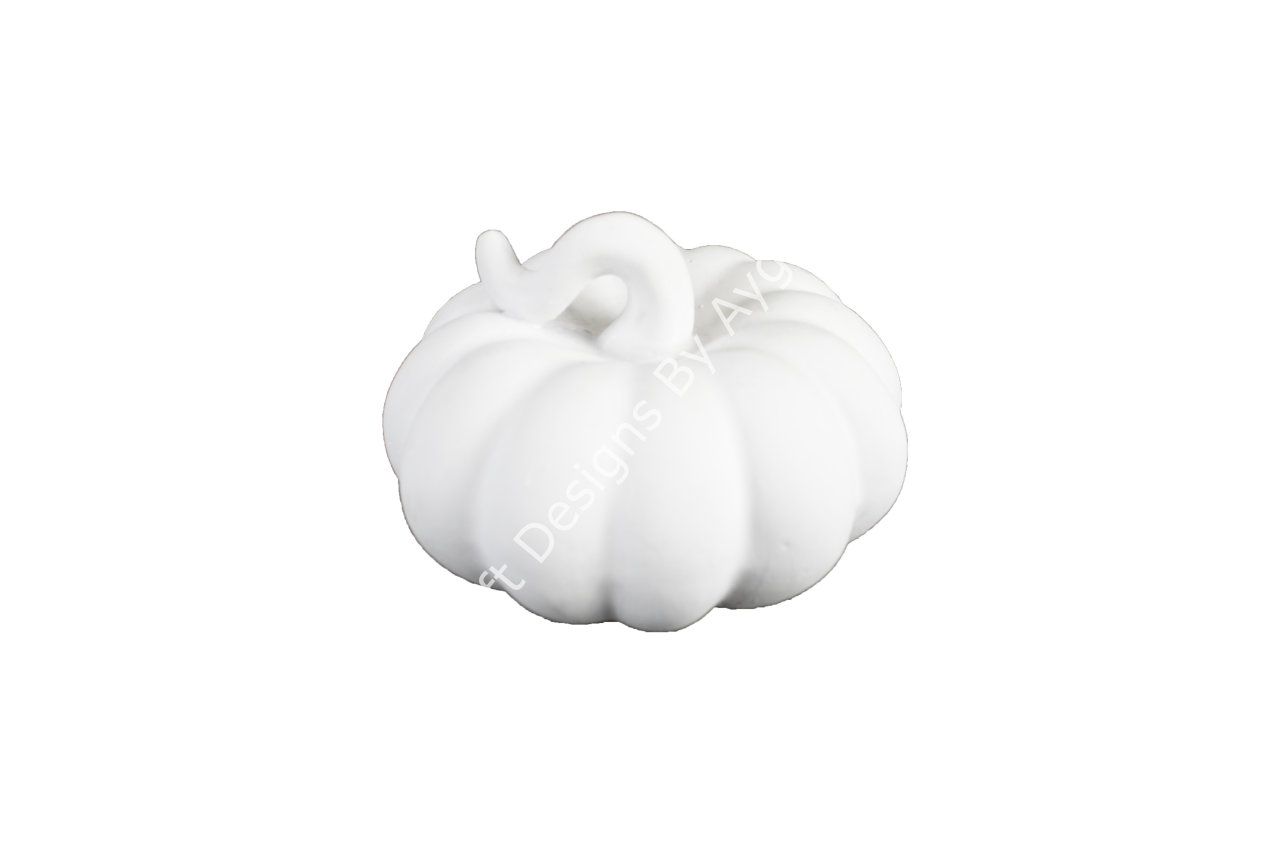 SAPI KIVRIMLI KABAK-KÜÇÜK