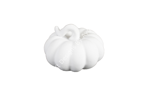 SAPI KIVRIMLI KABAK-KÜÇÜK