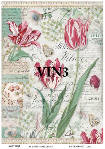 VIN 3