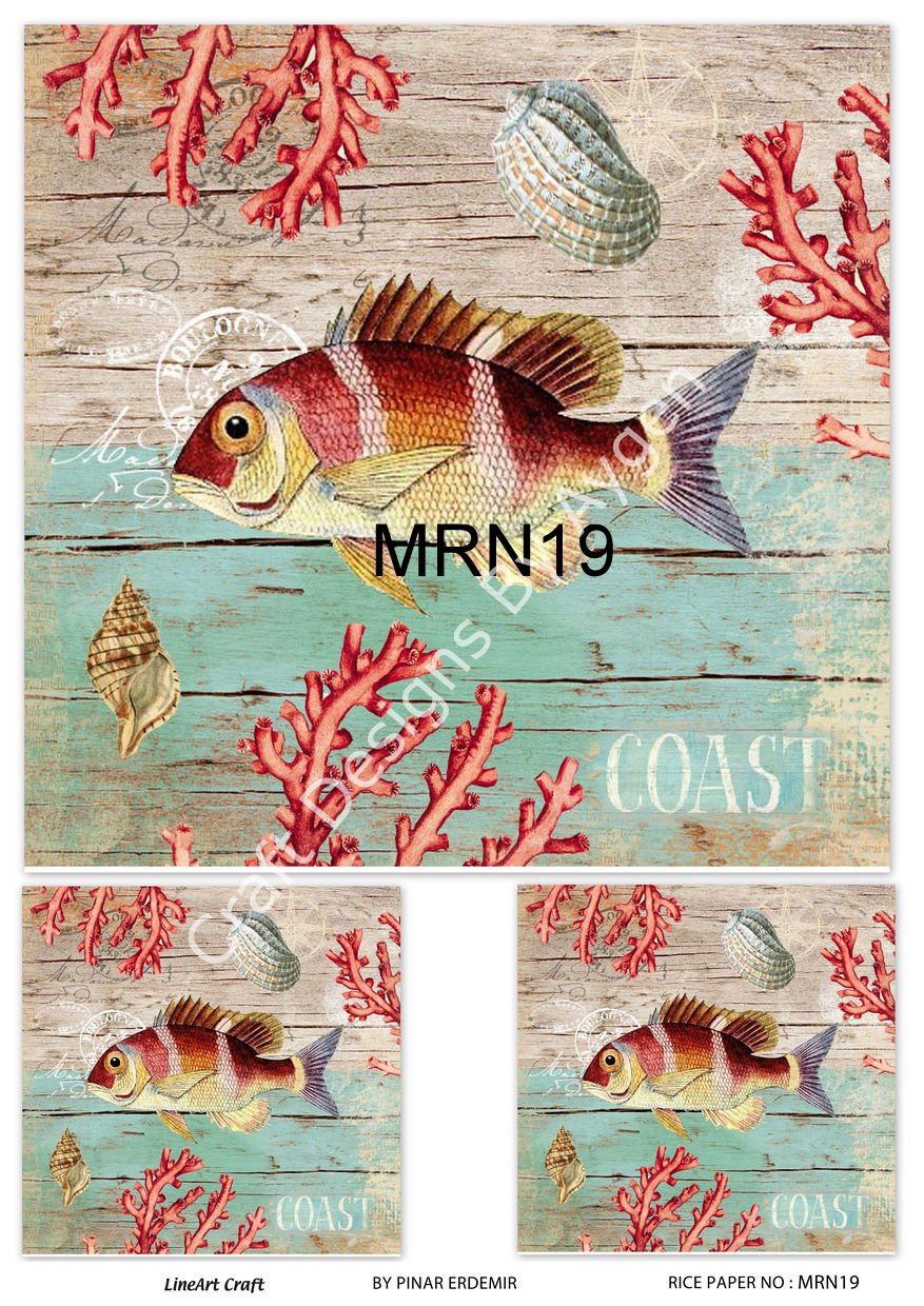 MRN 19