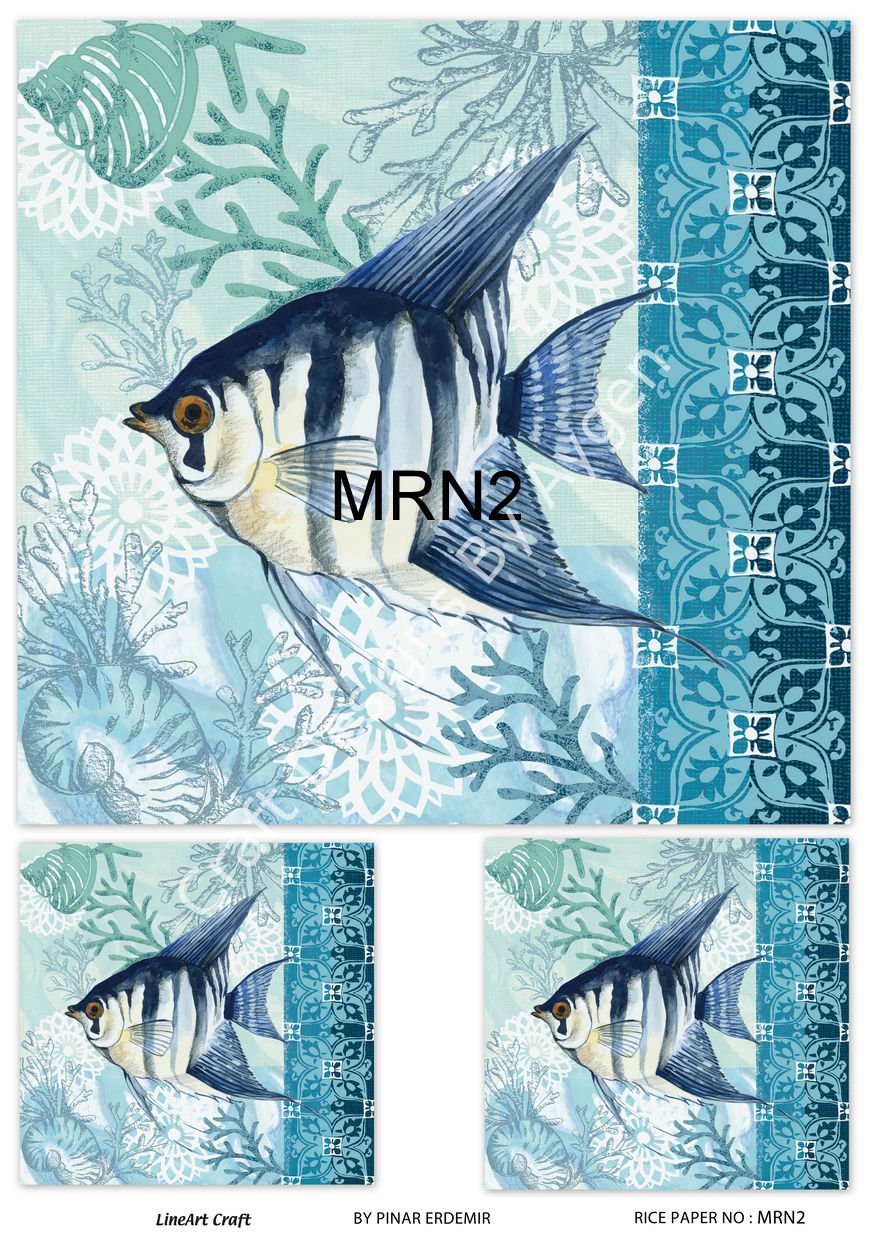 MRN 2