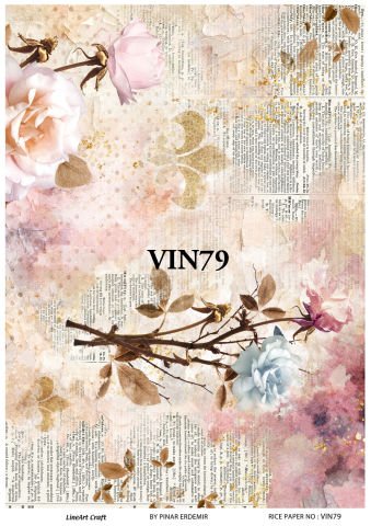 VIN 79