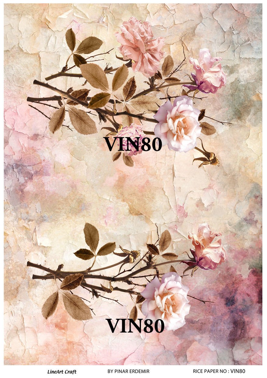 VIN 80