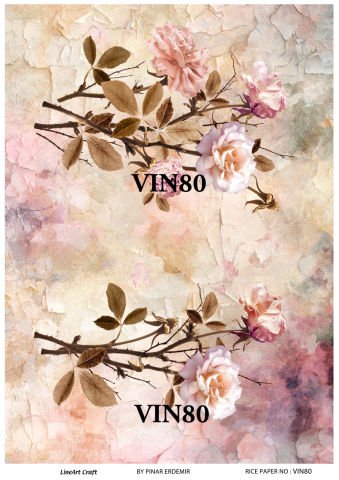 VIN 80