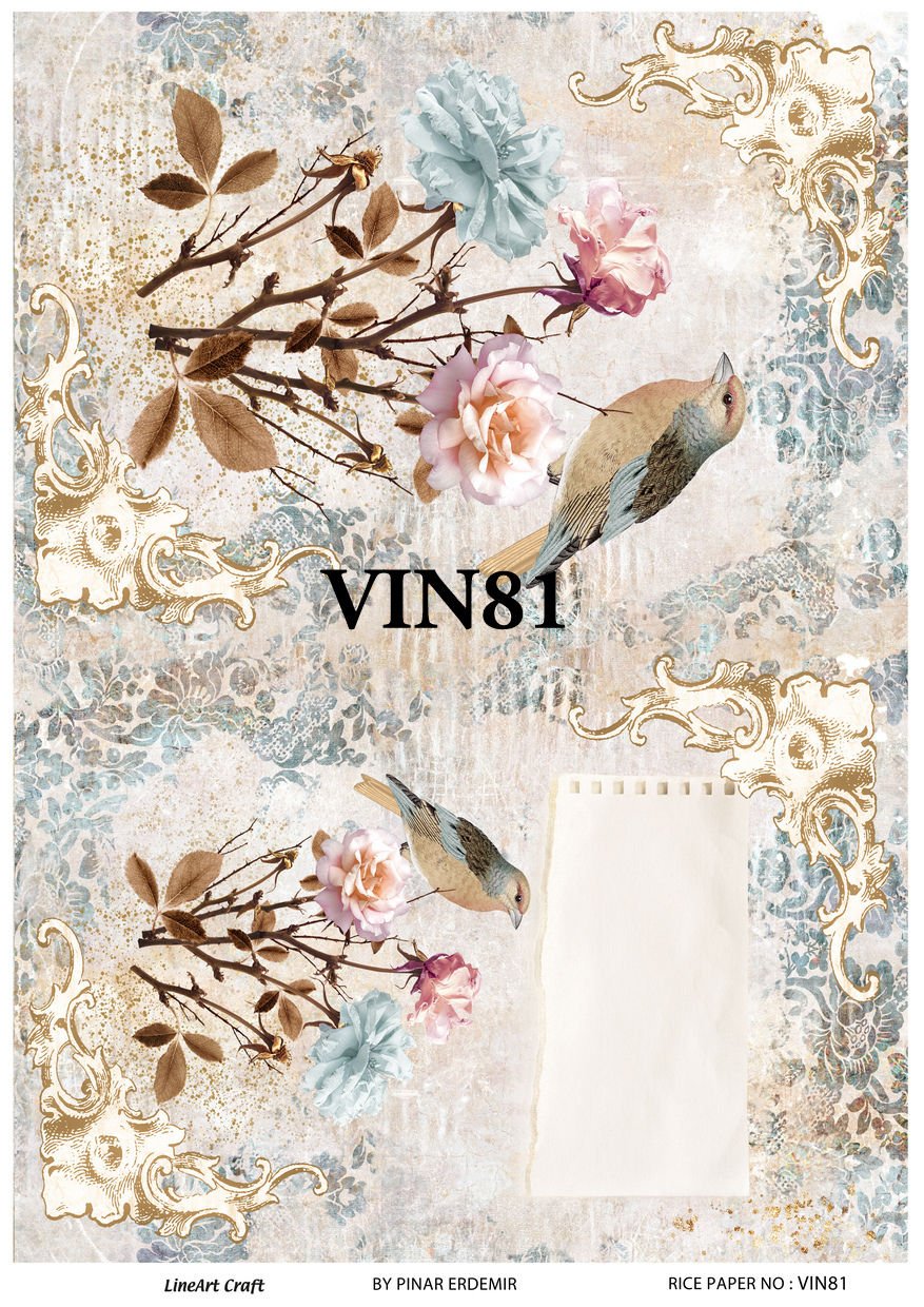 VIN 81