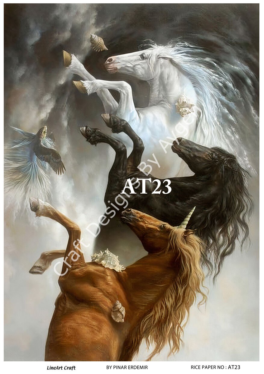 AT 23