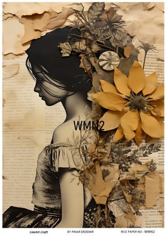 WMN 2