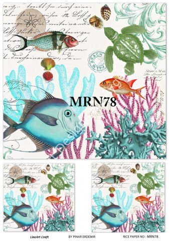 MRN 78