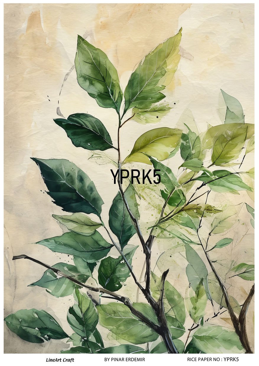YPRK 5