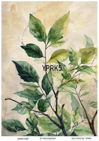 YPRK 5